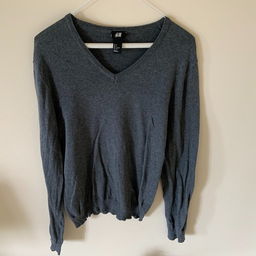 H&M Male V-Neck Gray Long Sleeve Sweater S